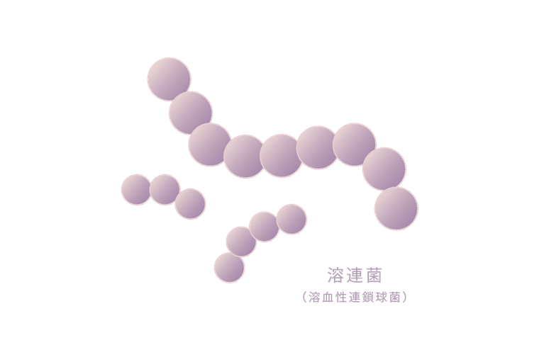 溶連菌とは